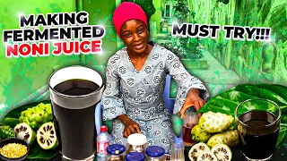 Making Fermented Noni Juice | Ghana Edition!!!