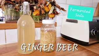 Make FERMENTED GINGER BEER | Fermented Soda Series: All the Knowledge to make Fermented Soda