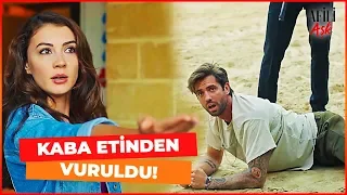 Kerem, Ayşe ve Volkan Çiftlikten Kaçmaya Çalışıyor! - Afili Aşk 16. Bölüm