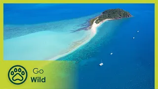 Australia's Greatest Islands - Go Wild