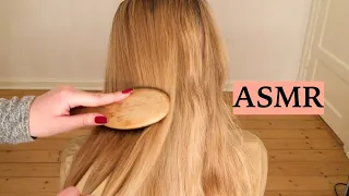ASMR 1 HOUR HAIR BRUSHING COMPILATION (NO TALKING)