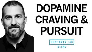 Dopamine System, Craving & Pursuit Explained | Dr. Andrew Huberman