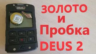 ЗОЛОТО и ПРОБКА XP DEUS 2