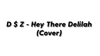 D $ Z - Hey There Delilah (Cover)
