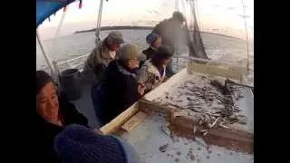 Lady Jane Shrimp Boat Catch 02