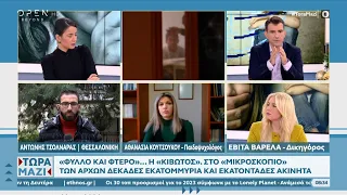 «Φύλλο και φτερό»… η Κιβωτός του Κόσμου | Τώρα μαζί 27/11/2022 | OPEN TV