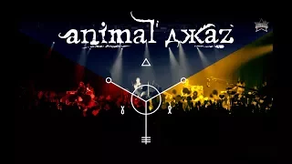 Animal Jazz Как Дым cover  [ piano version ] HD 1080p
