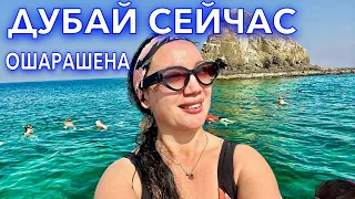 Дубай. ИНДИЙСКИЙ ОКЕАН❗️АКУЛА ЕДА РИФ. Из Дубая в Оман. Отдых в Дубае. ОАЭ