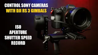 Control Sony Camera Functions On DJI RS 3 & 3 Pro Gimbal [ ISO, Aperture, Shutter Speed ] Tutorial