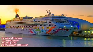 Freedom Of The Seas/Norwegian Pearl/Msc Magnifica/Independence Of The Seas #portofmiami #cruiseship