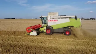 Moisson de blé dur 2021 avec une CLAAS LEXION 450 EVOLUTION, au pied des éoliennes