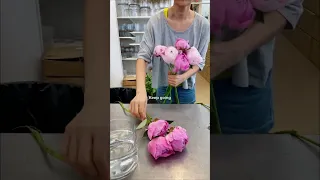 How to arrange 1 dozen peonies #flower #peonies #flowerarranging #florist #rachelchofloral