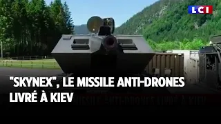 Skynex, le missile anti drones livré à Kiev