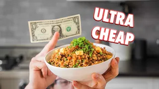 1 Dollar Fried Rice | But Cheaper