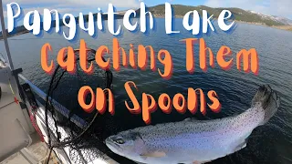 Exciting Trout Fishing at Panguitch Lake!