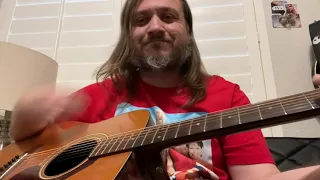 Beatles - And Your Bird Can Sing acoustic cover