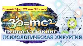 ЧТО ТАКОЕ  "НЕЙРОСТАЛКИНГ" ВВОДНАЯ для подписчиков канала