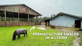 Preventing FLOODING with SWALES | Permaculture homesteading