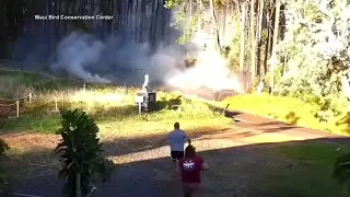 Security video appears to show what triggered deadly Maui fire