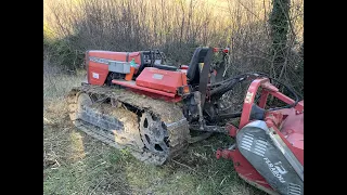 Massey Ferguson cingolato 274 CF + TRINCIA FERABOLI 1.80 MT trinciatura sterpaglie!!