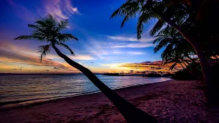 1 HOUR SPECIAL | Tropical Temptation | by Ron Gelinas Chillout Lounge | Smooth Music