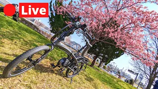 Tokyo LIVE ebike reveal & ume blossom hunting