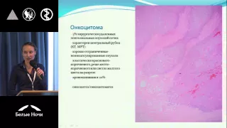 Морфологическое разнообразие опухолей почки