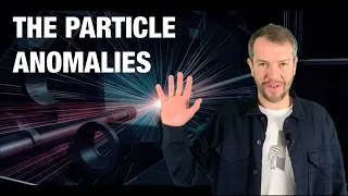 The Particle Anomalies - New Physics At Last?