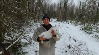 Охота на зайца по первому снегу 2022. Трудовой трофей.