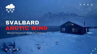 Snow Storm in Svalbard, Blizzard Sounds for Sleeping, Winter Storm Ambience