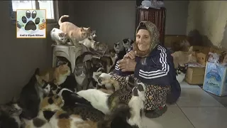 Sen Bir Meleksin! Kedilere Sobalı Ev Yapan 75 Yaşındaki Kadriye Teyzemiz...