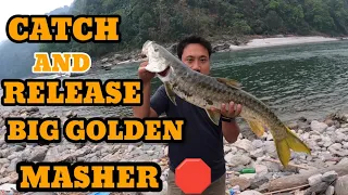 🛑CATCH BIG GOLDEN MASHER 🛑❓