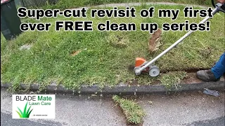 January 2021 - My first free yard clean up series re-visited