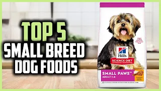 ✅ Top 5 Best Small Breed Dog Foods 2024 | Best Dog Food for Small Dogs