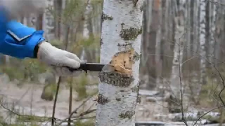 Тест ножа Кизляр Милитари