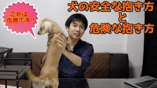 犬の正しい安全な抱っこの仕方 Dog's correct safe hugging way