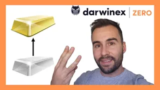 Cómo SOBREVIVIR a tus primeros TRES MESES como TRADER: Darwinex ZERO