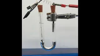 Electrolysis of concentrated  NaCl(aq)  using mercury cathode