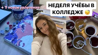 НЕДЕЛЯ УЧЁБЫ В КОЛЛЕДЖЕ влог