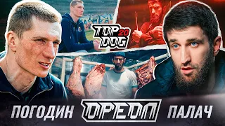 TOP DOG 20: ОРЕОЛ | Погодин vs. Палач | Часть 1