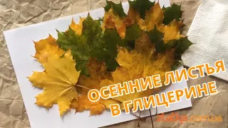 ЛайфХак: Осенние листья в глицерине