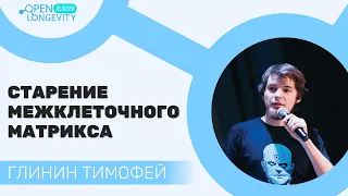 Тимофей Глинин: Старение межклеточного матрикса