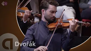 Dvořák: Romance in f, op. 11 - Niek Baar & Concertgebouw Kamerorkest - Live Concert HD