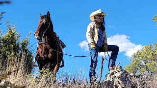 Wild Horses and Wildflowers (horse music video)