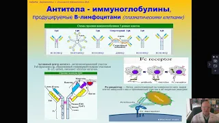 #3 Фармакология против COVID-19 (профессор Мамчур В.И.)