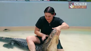 Art of Gator Wrestling