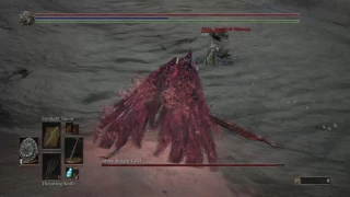 Dark Souls 3 Playable Boss Slave Knight Gael vs Shira Knight of Filianore Evil Arena Master Mode