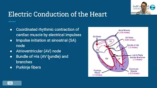 MCAT Biology The Cardiovascular System - Topic 3/4: Electrical Conduction and Heartbeat