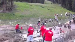 Warrior Dash - Copper Colorado