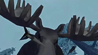 The Long Dark Moose Attack - A Silly Mistake!